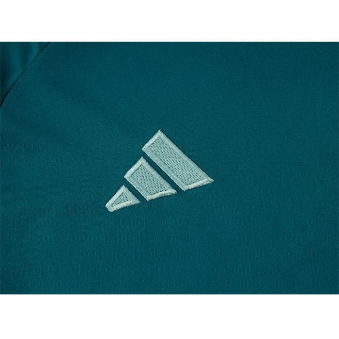 Chandal del Cruzeiro Manga Corta 2024-25 Verde Pantalon Corto